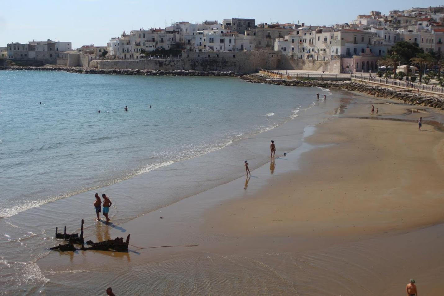 Casa Ary Διαμέρισμα Βιέστε Εξωτερικό φωτογραφία